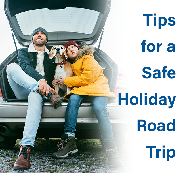 DSI-Safe-Holiday-Road-Trip-