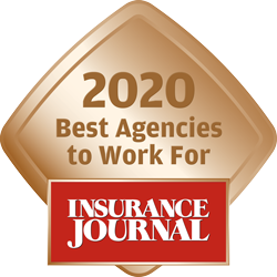 DS-Insurance-Journal-Award-2020